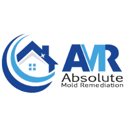 Absolute Mold Remediation 